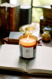 The Gold Bug Candle