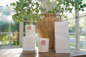 Heavenly Aroma | CCCo. x Melody Acevedo