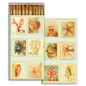 Mollusks, Coral, Seastars Matches